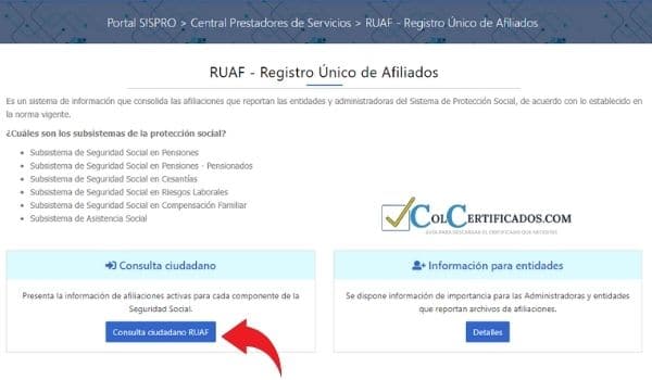 sispro ruaf certificado