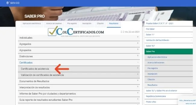 certificado saber pro ecaes